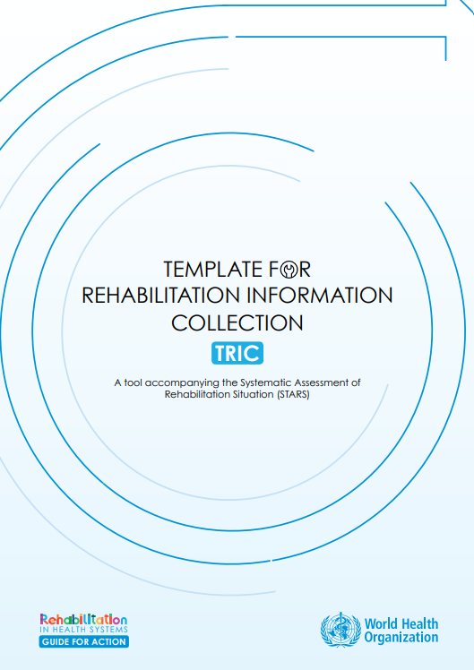 Template for rehabilitation information collection (TRIC): a tool accompanying the Systematic Assessment of Rehabilitation Situation (STARS)