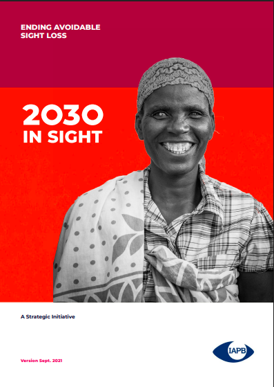 2030 In Sight Strategy