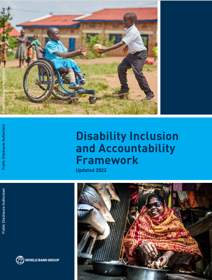 Disability Inclusion and Accountability Framework